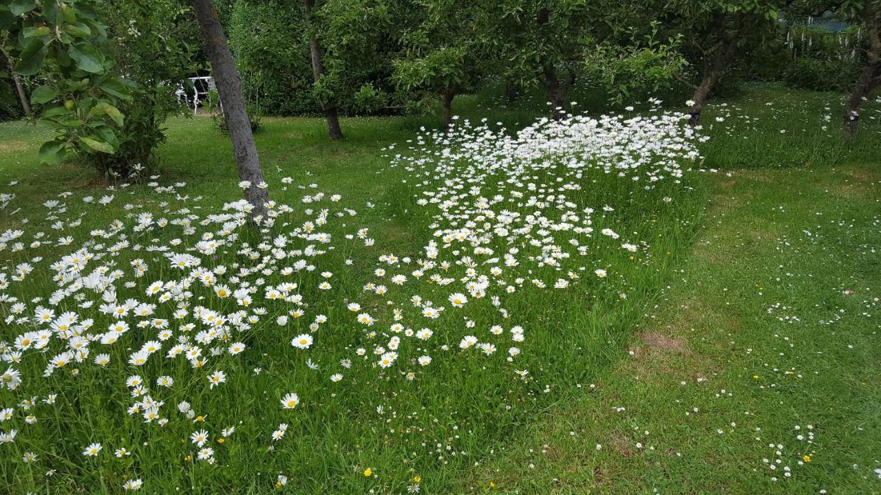 B&B Eenvoud In Overvloed Vleteren Екстер'єр фото